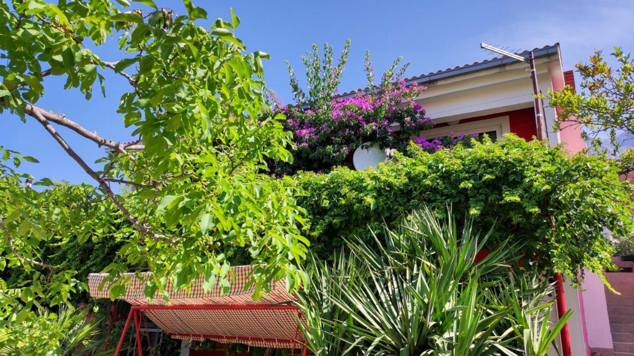Apartments Paunovic Μακάρσκα Εξωτερικό φωτογραφία