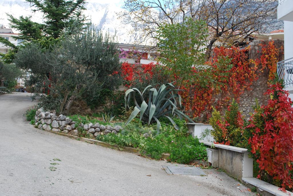 Apartments Paunovic Μακάρσκα Εξωτερικό φωτογραφία